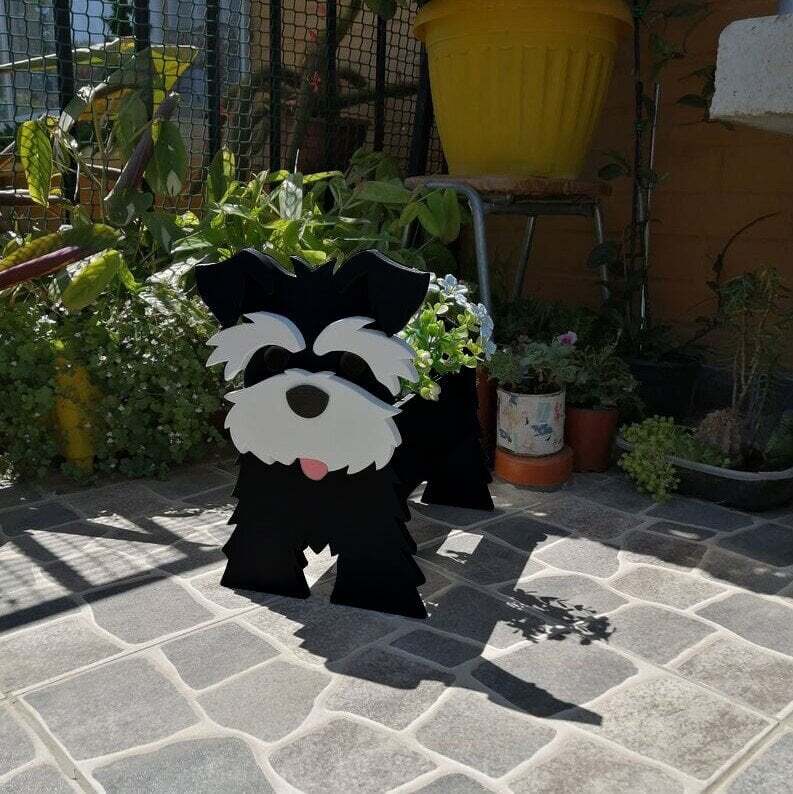 PawPlanter