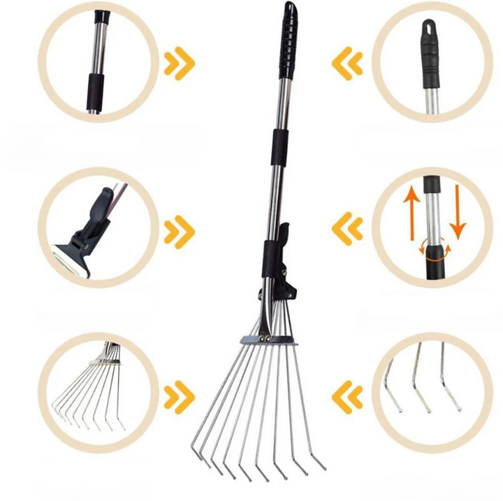Tidy Lawn Essential